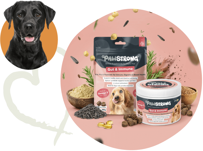 Our Ingredients Are Nature's Best