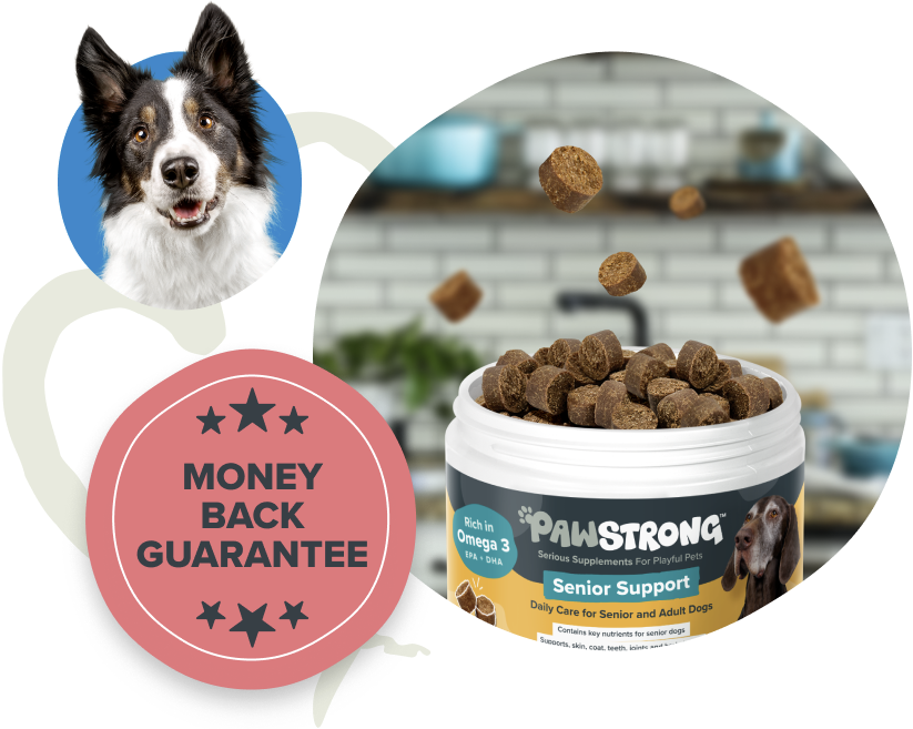 Money Back Guarantee